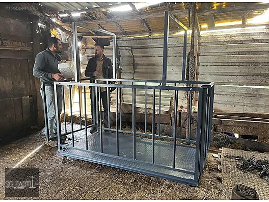 İkinci El ve Sıfır Alışveriş / Teknik Elektronik / Terazi