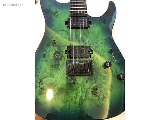 Schecter Elektro Gitar