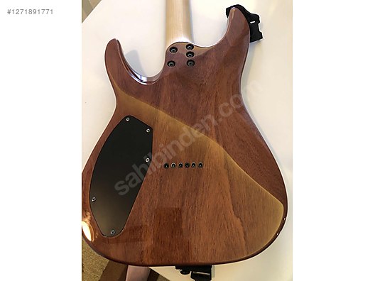 Schecter Elektro Gitar
