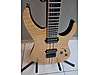 Schecter Elektro Gitar