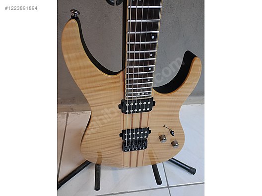 Schecter Elektro Gitar
