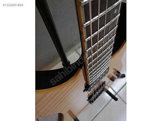Schecter Elektro Gitar
