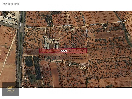 ARDA'DAN GÜRSU'DA HAVALİMANINA 3 KM MESAFEDE SATILIK BAĞ #1253892049