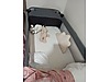 İkinci El ve Sıfır Alışveriş / Anne & Bebek / Mobilya / Park Yatak