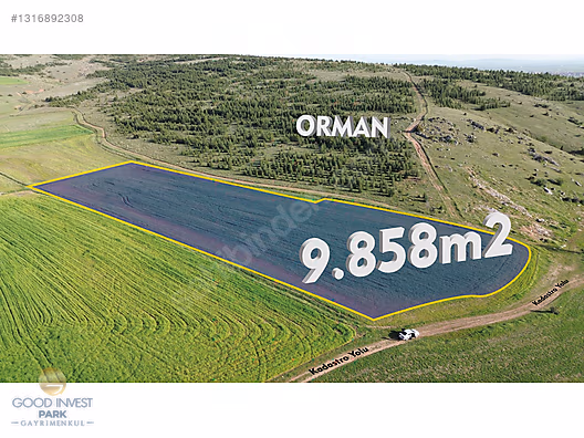 Orman Yanı, Kadastro Yolu Olan Verimli Yatırımlık 9.858m² Tarla