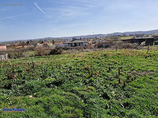 Used & Brand New Items / Garden & Home Improvement / Wholesale Lots