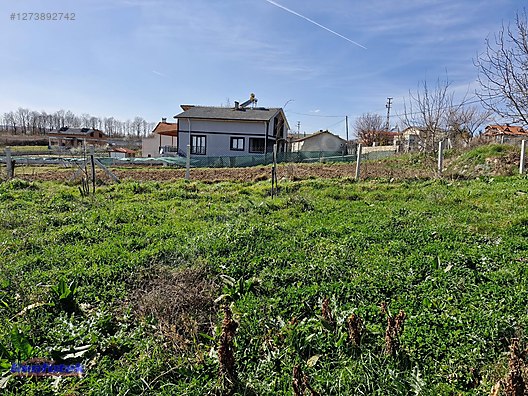 Used & Brand New Items / Garden & Home Improvement / Wholesale Lots