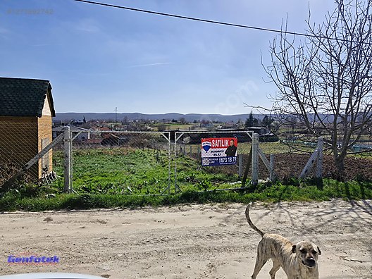 Used & Brand New Items / Garden & Home Improvement / Wholesale Lots