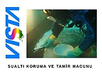 SUALTI EPOKSİ ONARIM VE KAPLAMA MACUNU #1283892753