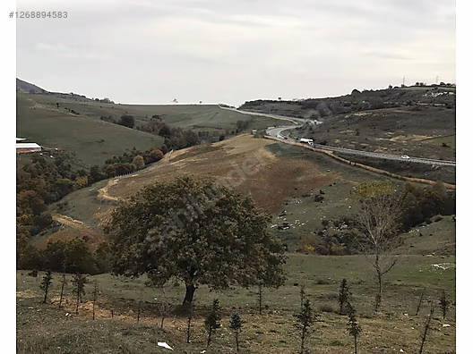 Ercan aygün insaat emlakta Yalova Bursa yoluna cephe tarla acil #1268894583