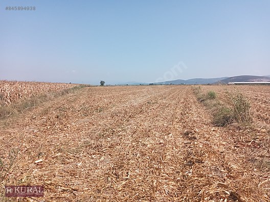 9 400 m 2 tek tapu duz tarla tekeli menderes izmir satilik arsa ilanlari sahibinden com da 845894938 9 400 m 2 tek tapu duz tarla tekeli menderes izmir satilik arsa ilanlari sahibinden com da 845894938