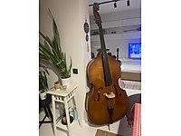 Pirastro eudoxa bağırsak telli, Masif macar kontrabas