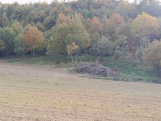 Ercan Aygün insaat emlak Yalova akkoy tarla(daire takası olur) #1268896732