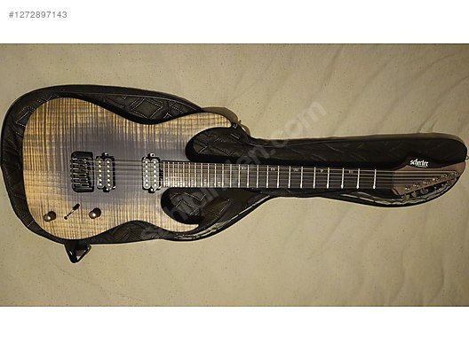Schecter Elektro Gitar