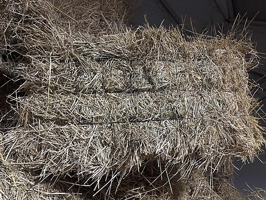 Pets & Livestock / Foods & Feeds / Small & Large Livestock / Feed