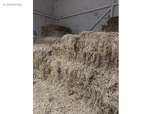 Pets & Livestock / Foods & Feeds / Small & Large Livestock / Feed