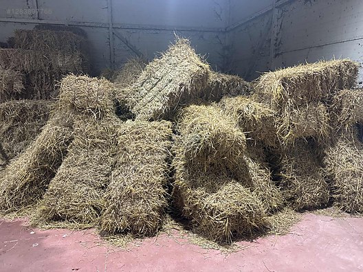 Pets & Livestock / Foods & Feeds / Small & Large Livestock / Feed