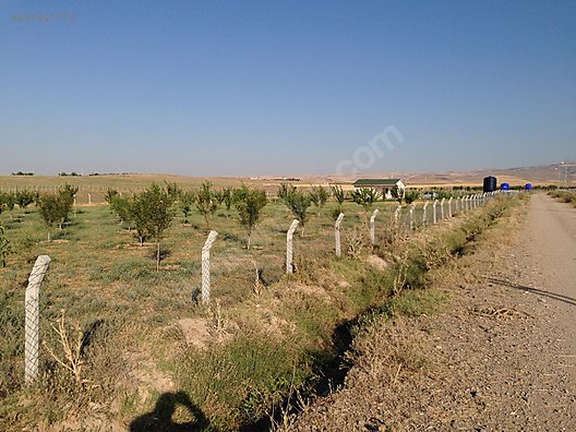 sahibinden 5000 m2 arsa 56 m2 ev satilik arsa ilanlari sahibinden com da 887897773 sahibinden 5000 m2 arsa 56 m2 ev satilik arsa ilanlari sahibinden com da 887897773
