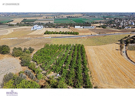 YENİŞEHİR SÖYLEMİŞ'DE 2992 M2 SATILIK CEVİZ BAHÇESİ