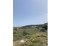 Ovacik Mh Satilik Arsa Ilanlari Ve Fiyatlari Sahibinden Com Da