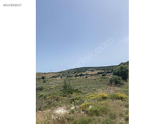 Sahibinden Satilik Tarla Cesme Ovacik Mevkiide 7 Donum Satilik Arsa Ilanlari Sahibinden Com Da 833898937