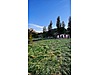 NİLÜFER KORUBAŞI SATILIK ÇİFTLİK TAŞ EV 2150m2 TEK TAPU ARAZİ