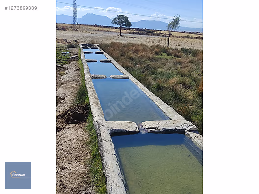 ÖZPINAR ,DAN ÇAVUŞ SATILIK TARLA 10 572 M2 M2 Sİ 42 TL ! #1273899339