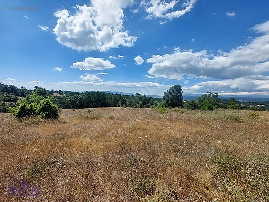 KELES BAŞAK KÖYÜNDE SATILIK TARLA