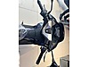 Satılık Honda PCX125 DX