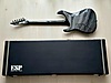 ESP Elektro Gitar