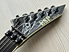 ESP Elektro Gitar