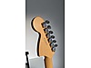Fender Elektro Gitar