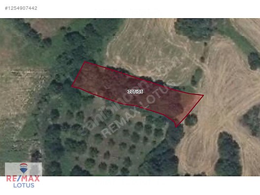 Kırklareli Vize Sergen Köyü'nde Satılık 1.326m² Tarla