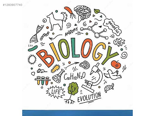 Özel Ders Verenler / Lise & Üniversite