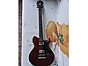 Washburn Elektro Gitar
