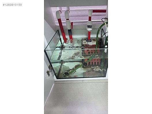 Pets & Livestock / Accessories / Fish / Aquariums