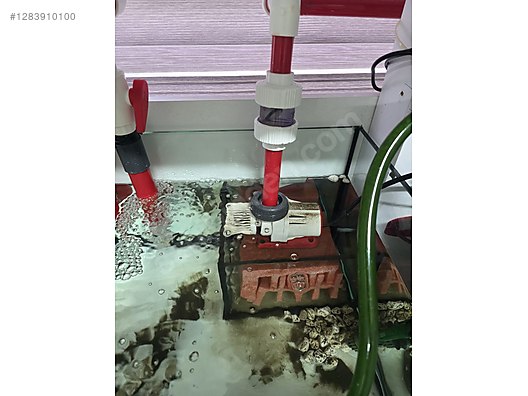 Pets & Livestock / Accessories / Fish / Aquariums