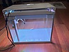 Pets & Livestock / Accessories / Fish / Aquariums
