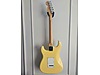 Fender Elektro Gitar