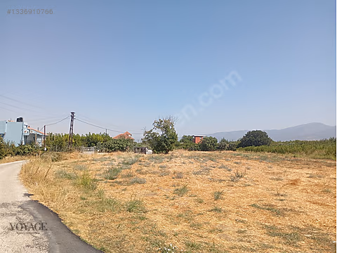 Kemalpaşa Örende Satılık Şeftalilik - Görsel 11