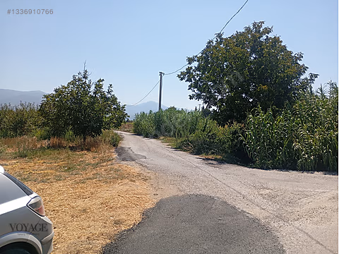 Kemalpaşa Örende Satılık Şeftalilik - Görsel 10
