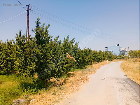 Kemalpaşa Örende Satılık Şeftalilik - Görsel 12