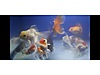 Pets & Livestock / Aquarium Fish / Goldfish / Oranda