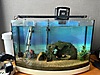 Pets & Livestock / Accessories / Fish / Aquariums