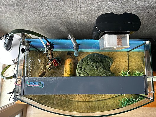 Pets & Livestock / Accessories / Fish / Aquariums