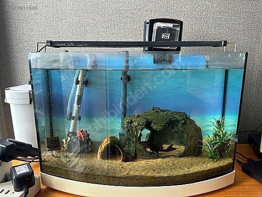 Pets & Livestock / Accessories / Fish / Aquariums