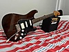 Squier Elektro Gitar