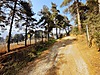 KESTEL GÖLBAŞINDA YATIRIMLIK BAKIMLI TOPLAM 4310 M2 TARLA