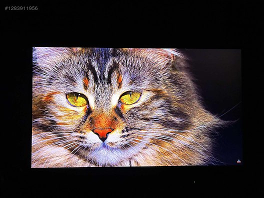 İkinci El ve Sıfır Alışveriş / Bilgisayar / Monitör / LED & LCD Monitör