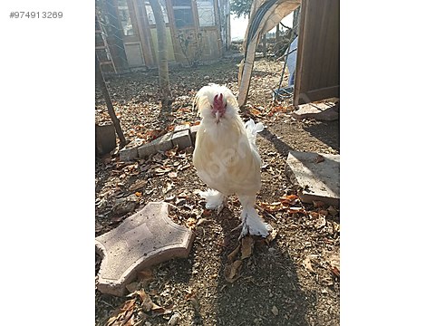 Ok3mit Tunmysm Ok3mit Tunmysm